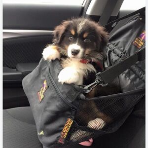 Outward Hound Pet Gear Pet Lookout Car Booster Seat – Black Medium, Up to 20 lbs